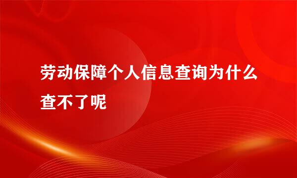 劳动保障个人信息查询为什么查不了呢