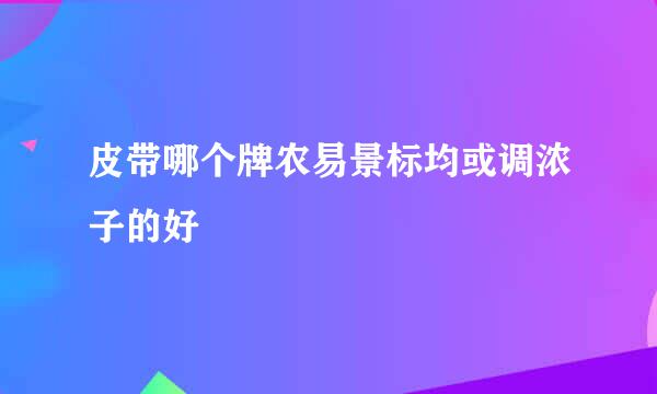 皮带哪个牌农易景标均或调浓子的好