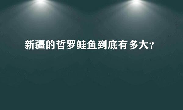 新疆的哲罗鲑鱼到底有多大？