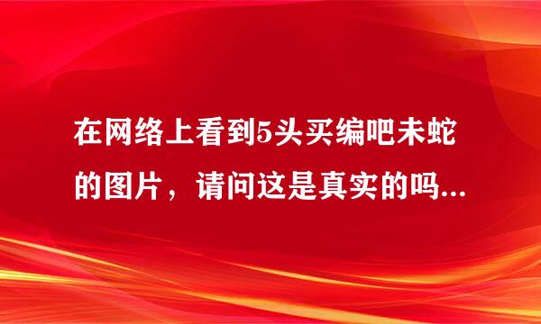 在网络上看到5头买编吧未蛇的图片，请问这是真实的吗？还是PS？