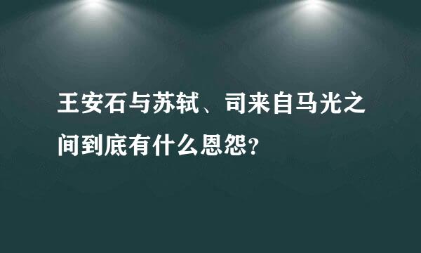 王安石与苏轼、司来自马光之间到底有什么恩怨？