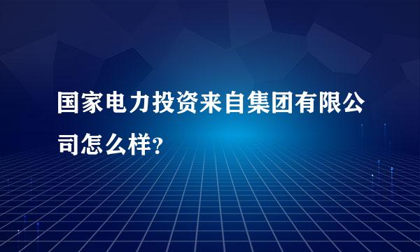 国家电力投资来自集团有限公司怎么样？