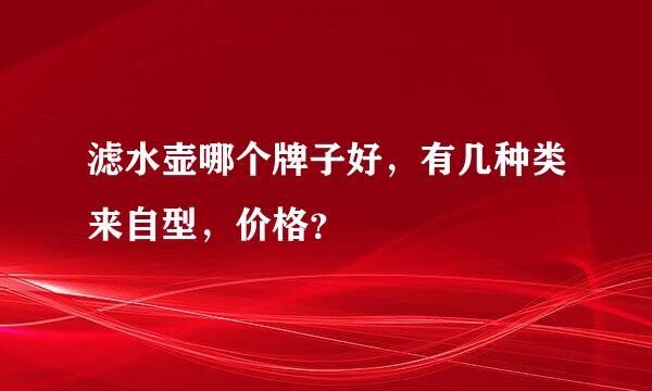 滤水壶哪个牌子好，有几种类来自型，价格？