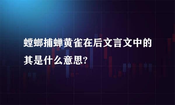 螳螂捕蝉黄雀在后文言文中的其是什么意思?