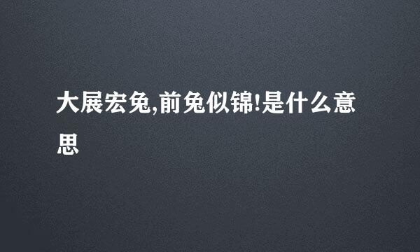 大展宏兔,前兔似锦!是什么意思