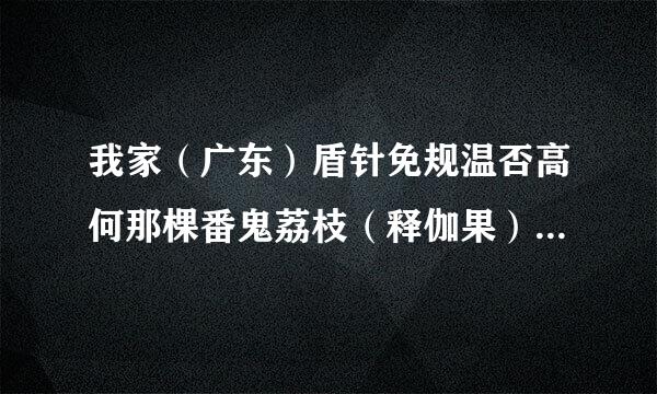 我家（广东）盾针免规温否高何那棵番鬼荔枝（释伽果）种了6年了，树身有2米多高了，这3年来都有花开（今年特别多，又大