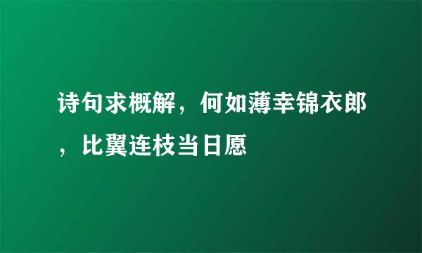 诗句求概解，何如薄幸锦衣郎，比翼连枝当日愿