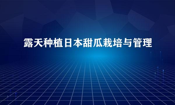 露天种植日本甜瓜栽培与管理