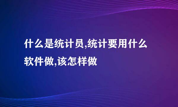 什么是统计员,统计要用什么软件做,该怎样做