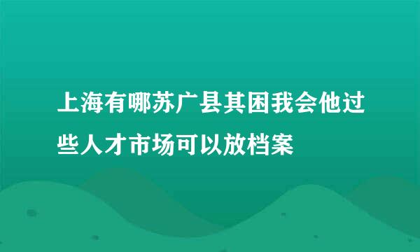 上海有哪苏广县其困我会他过些人才市场可以放档案