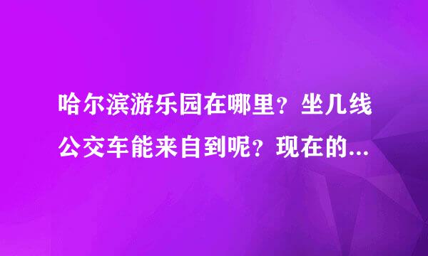 哈尔滨游乐园在哪里？坐几线公交车能来自到呢？现在的价格是多少？里面有什么好玩的呢?360问答有摩天轮吗？海盗船呢？