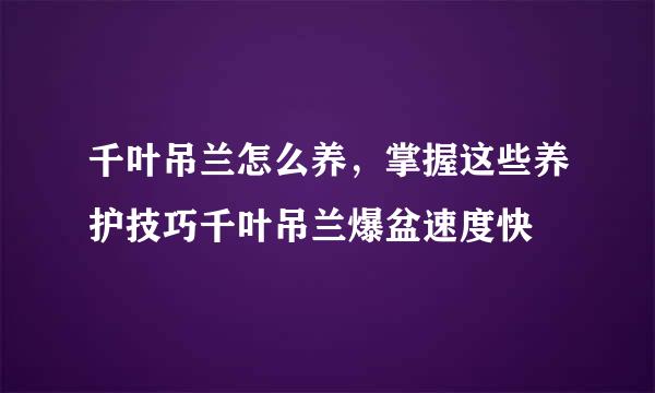 千叶吊兰怎么养，掌握这些养护技巧千叶吊兰爆盆速度快