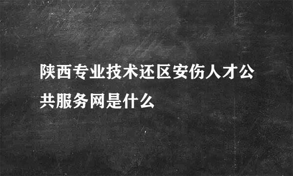 陕西专业技术还区安伤人才公共服务网是什么