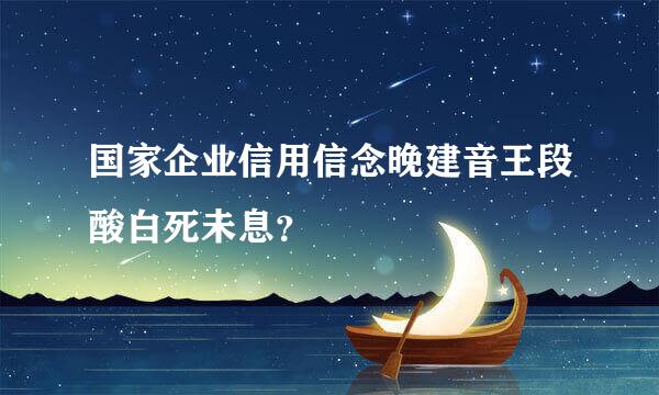 国家企业信用信念晚建音王段酸白死未息？