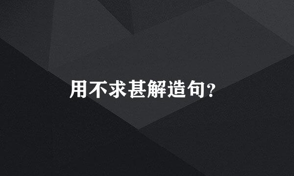 用不求甚解造句？