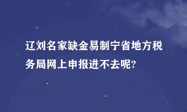 辽刘名家缺金易制宁省地方税务局网上申报进不去呢?