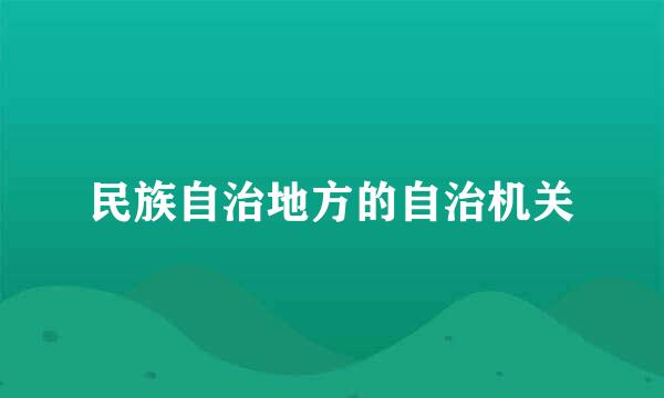 民族自治地方的自治机关