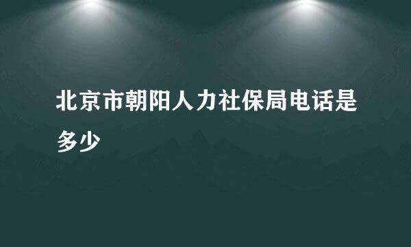 北京市朝阳人力社保局电话是多少