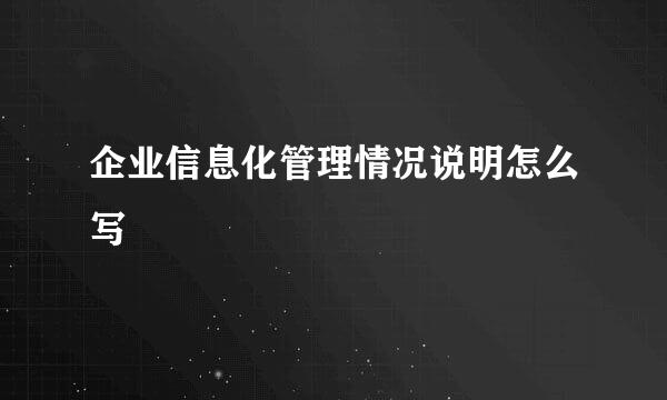 企业信息化管理情况说明怎么写