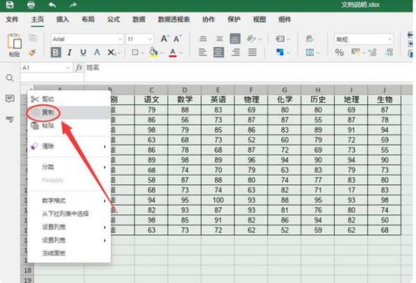 怎样在ex来自cel表格里复制一个一模一样的？