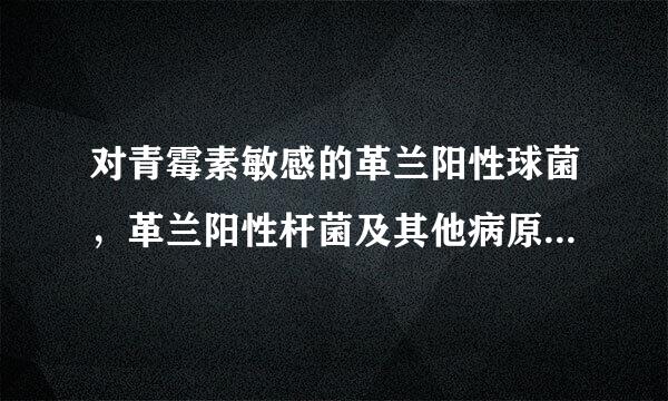 对青霉素敏感的革兰阳性球菌，革兰阳性杆菌及其他病原微生物有哪些？