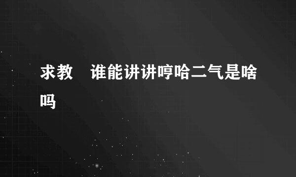 求教 谁能讲讲哼哈二气是啥吗