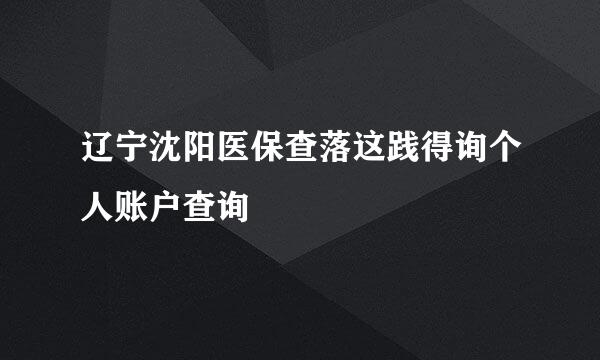 辽宁沈阳医保查落这践得询个人账户查询