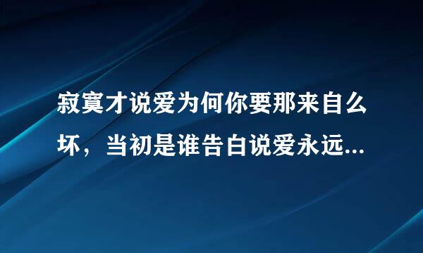 寂寞才说爱为何你要那来自么坏，当初是谁告白说爱永远不改，什么地老天荒什么地久天长，这段话是什么意思啊！