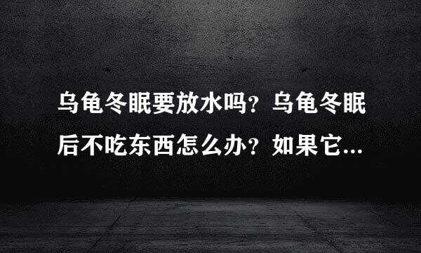 乌龟冬眠要放水吗？乌龟冬眠后不吃东西怎么办？如果它老是不吃东西，要想办法，特别是2