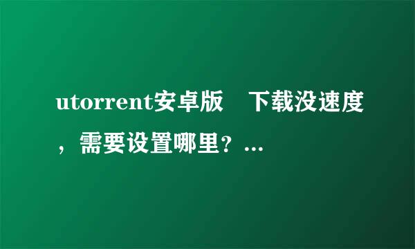 utorrent安卓版 下载没速度，需要设置哪里？TCP端口默认0是自动，设置多少号好？