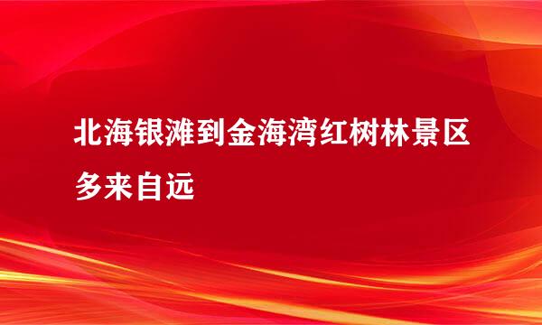 北海银滩到金海湾红树林景区多来自远