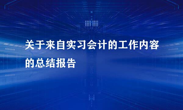 关于来自实习会计的工作内容的总结报告