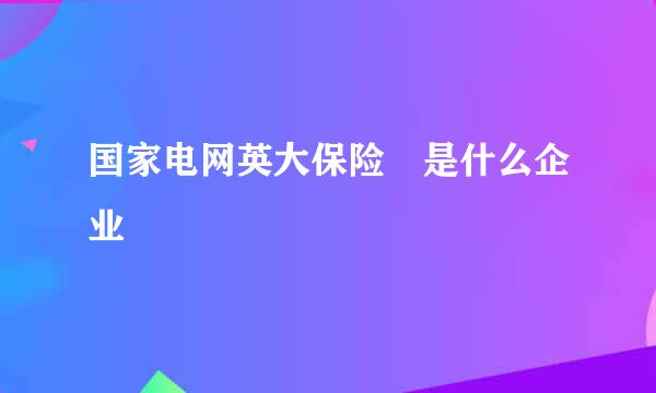 国家电网英大保险 是什么企业