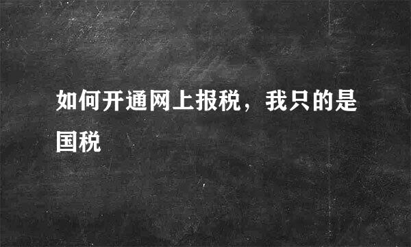 如何开通网上报税，我只的是国税