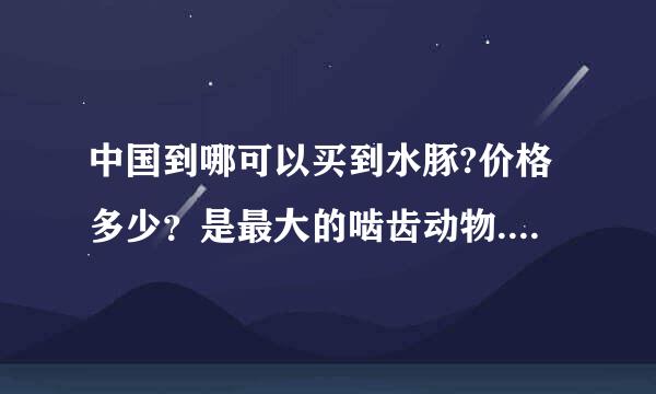 中国到哪可以买到水豚?价格多少？是最大的啮齿动物.只要明确答案