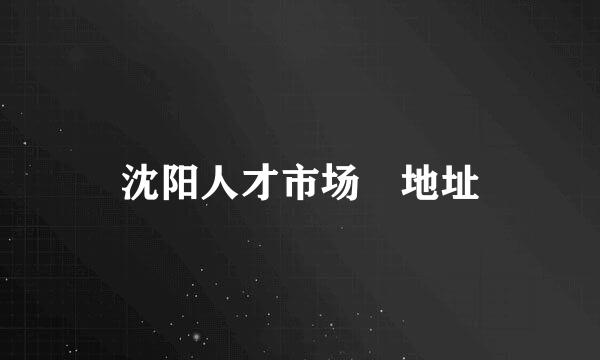 沈阳人才市场 地址