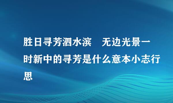 胜日寻芳泗水滨 无边光景一时新中的寻芳是什么意本小志行思