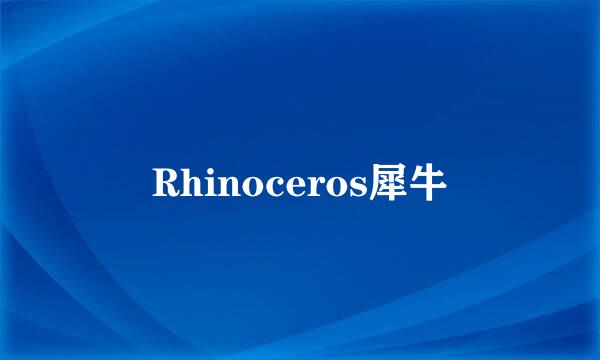 Rhinoceros犀牛