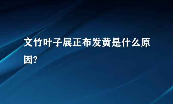 文竹叶子展正布发黄是什么原因?