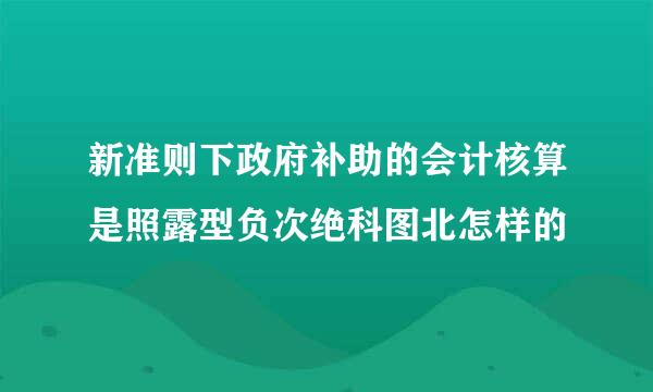 新准则下政府补助的会计核算是照露型负次绝科图北怎样的