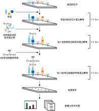 临床常用的细胞因子有哪些