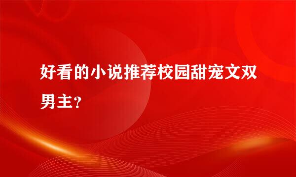 好看的小说推荐校园甜宠文双男主？