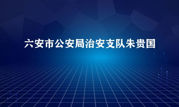 六安市公安局治安支队朱贵国