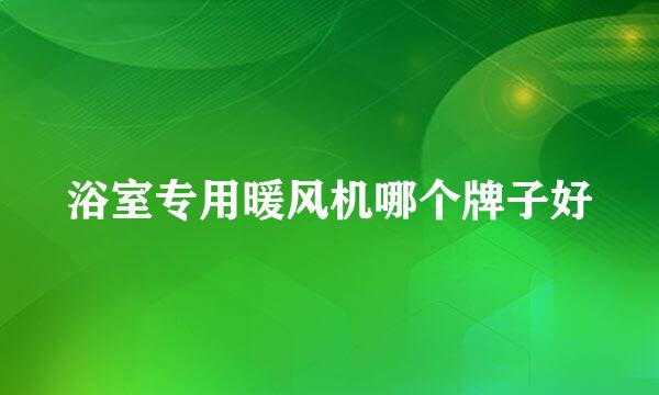 浴室专用暖风机哪个牌子好