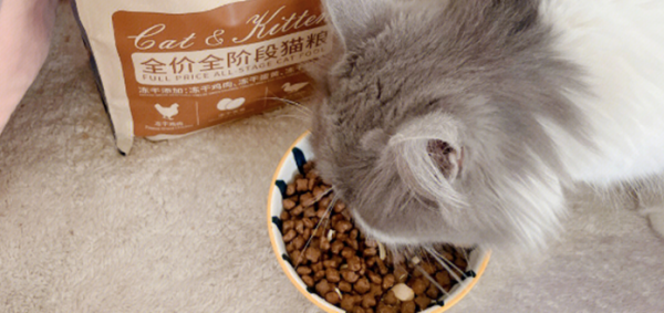 猫粮品牌十大排行