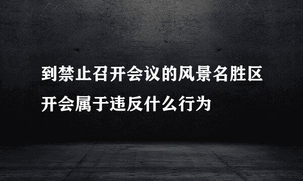 到禁止召开会议的风景名胜区开会属于违反什么行为