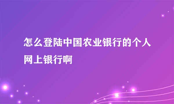 怎么登陆中国农业银行的个人网上银行啊