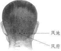 风池穴在哪个位置图