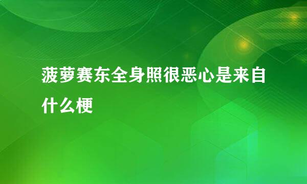 菠萝赛东全身照很恶心是来自什么梗