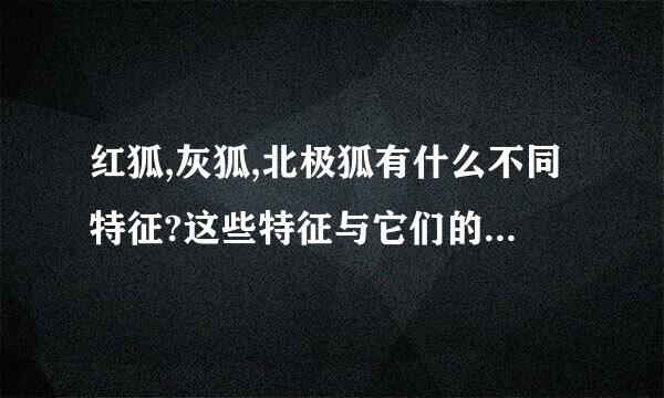 红狐,灰狐,北极狐有什么不同特征?这些特征与它们的生存环境有什么关系?是谁选